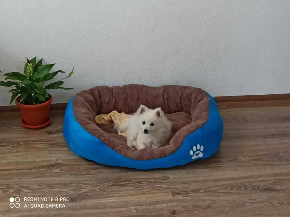 Fotografie de la Lucky