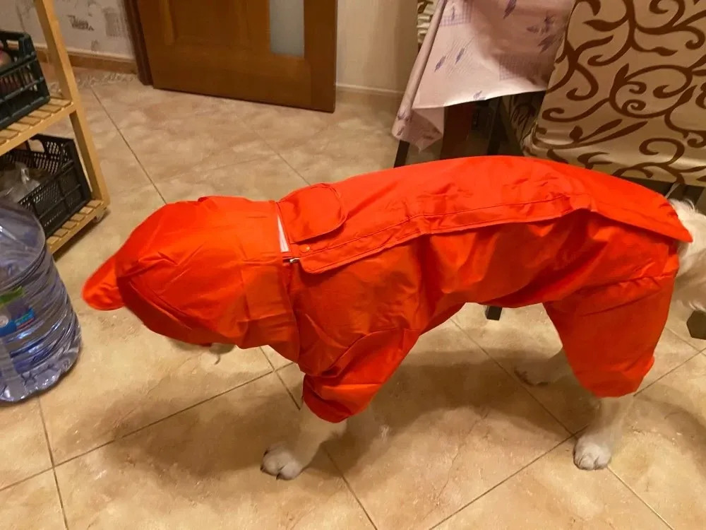 Pelerină de ploaie pentru câine mare