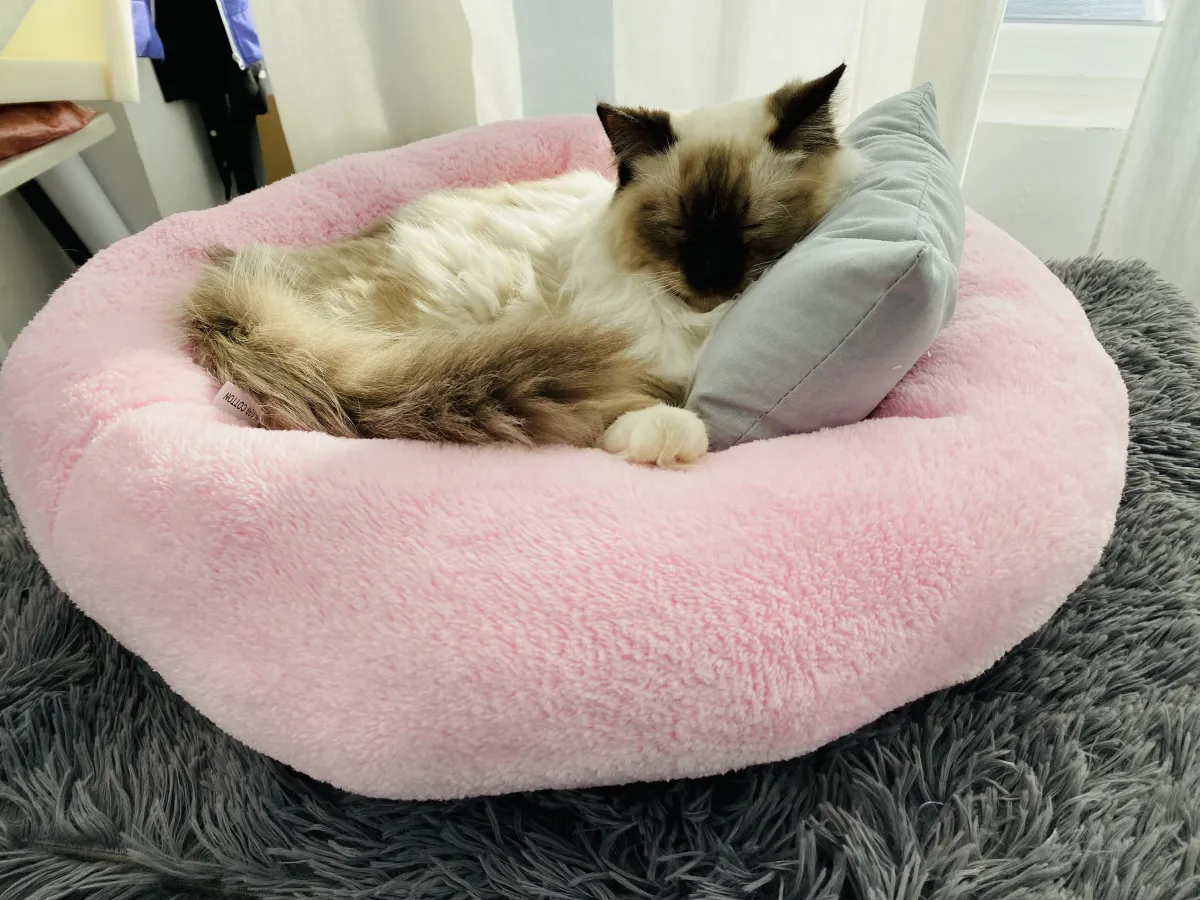 Pat rotund pentru pisici roz - 60×60×23 cm