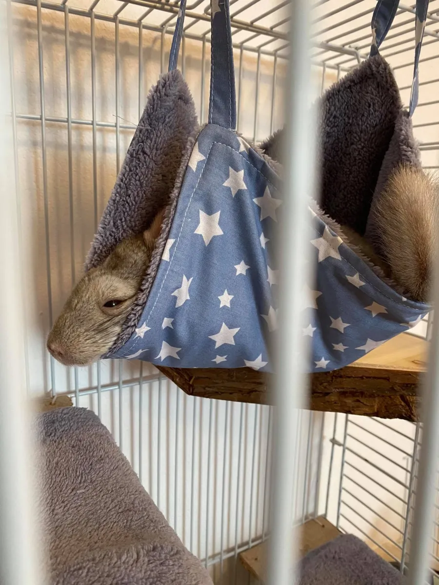 Hamac pentru chinchilla